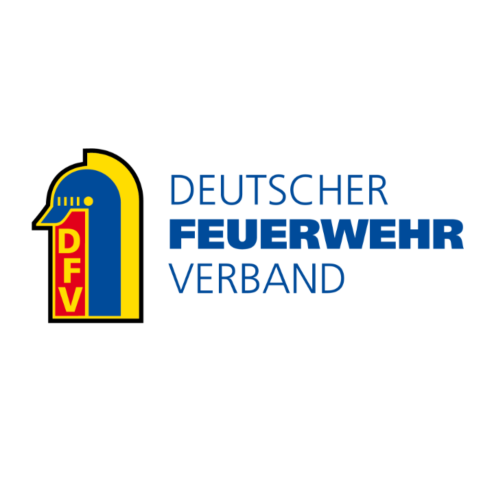 Logo DFV