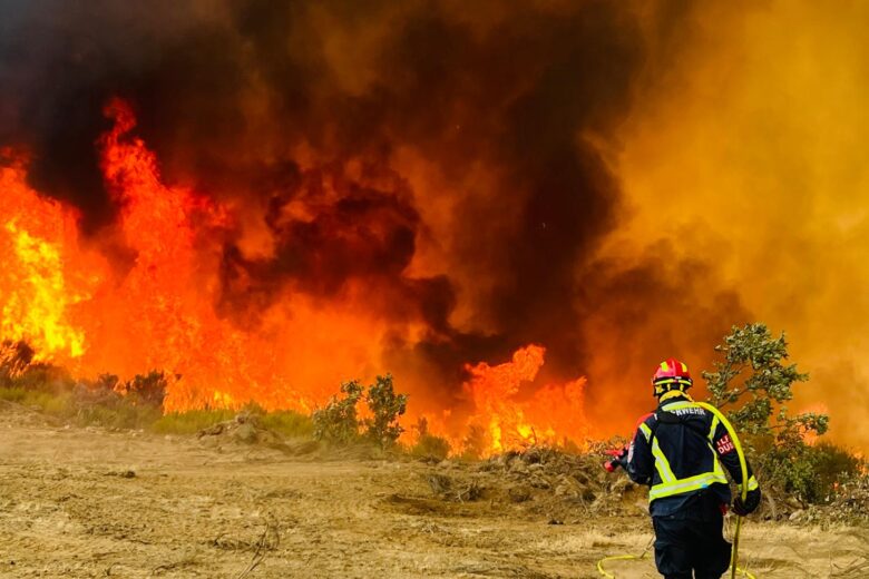 Feuerwehr-Einsatzkraft vor einer großen Feuerwand