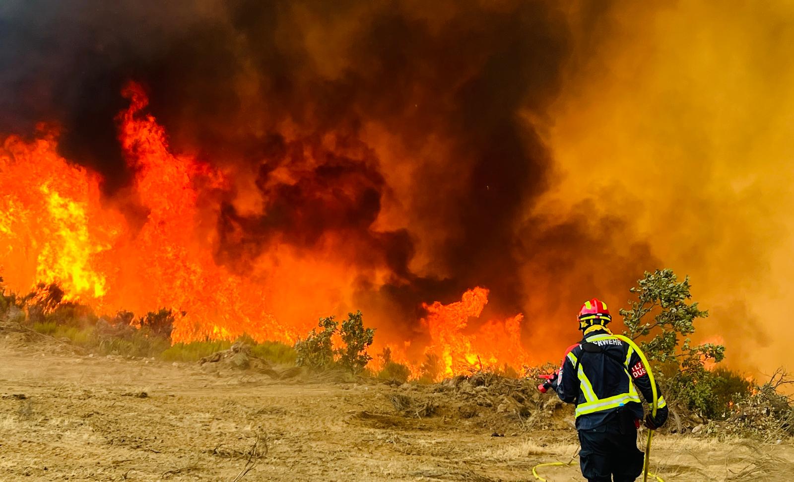Feuerwehr-Einsatzkraft vor einer großen Feuerwand